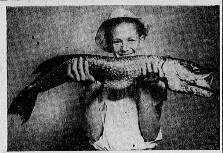 A child holding a fish
AI-generated content may be incorrect.