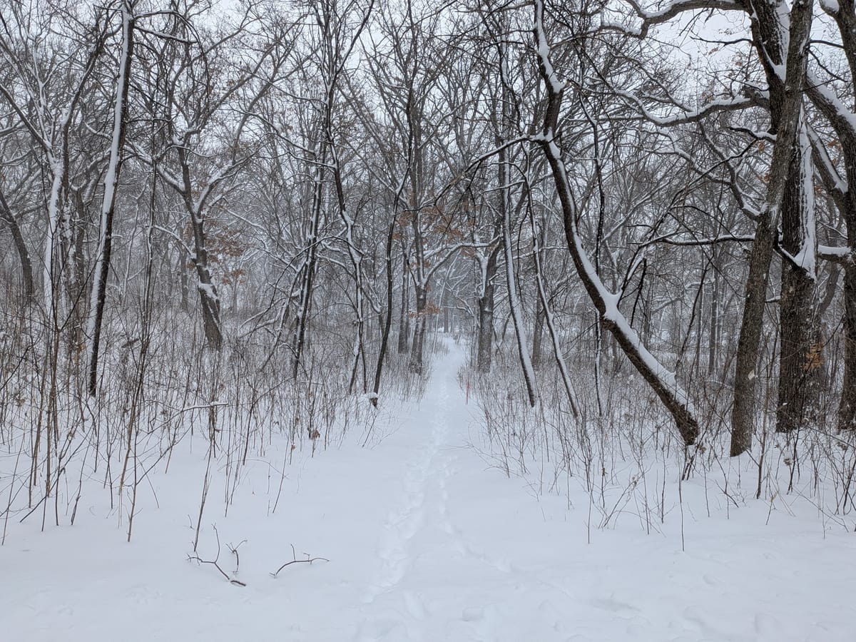 Local Matters | March 16, 2026