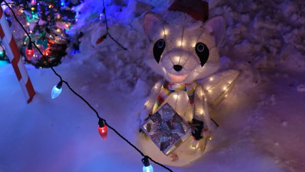 Roseville Holiday Lights