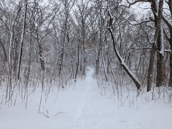 Local Matters | March 16, 2026